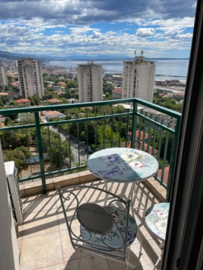 Apartment with amazing city view